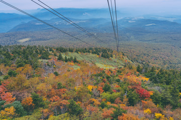 Aerial view of red leaf autumn fall season for Forest woodland From Hakkoda Mountain with Hakkoda Ropeway in Aomori Tohoku Japan