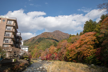 虹の吊橋