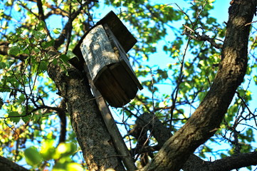 Old handmade wooden birdhouse hanging alone on a tree to protect birds