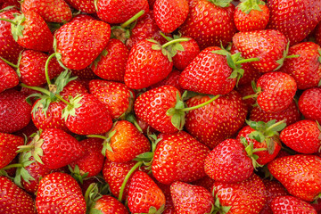 Fresh organic Strawberry fruit background Top view closeup