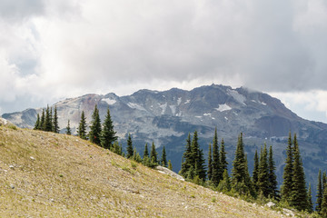 Bird view of the Whistler mountain in the morning from the top.