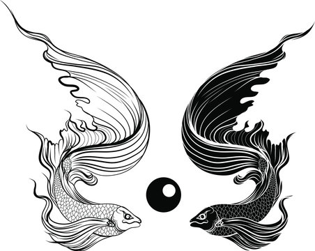 Hand drawn and Silhouette beautiful siamese fighting fish.Thai beautiful fish tatoo.infinity asian fish.
