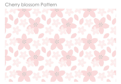 Cherryblossom seemless Pattern spring vector