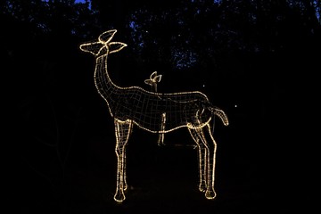 christmas deer on a background