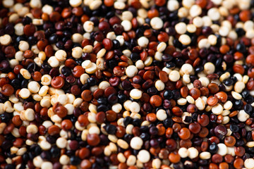 Set of quinoa Red, white and brown quinoa.