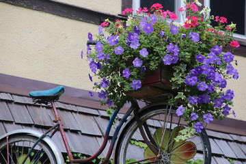 Fototapeta na wymiar A blooming bicycle atop a building