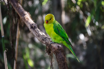 On a tree