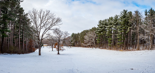 Snowy forest and trail panorama in Quarry Hill Nature Center, Rochester, Minnesota