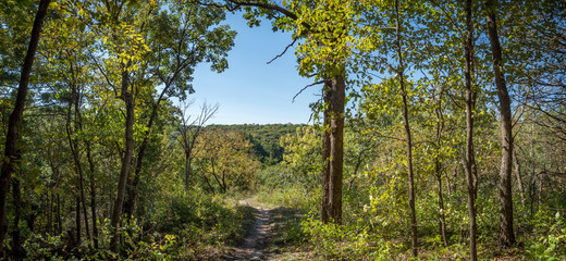 Trail through forest at Whitewater State Park, Winona, Minesota, USA in fall