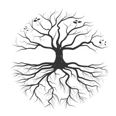 Fototapeta premium Tree roots