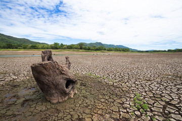 Land with dry and cracked ground because dryness global warming,Global warming background