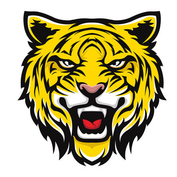 Tiger Face Sport Logo Design