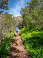 Boy hiking on Jesusita Trail, Santa Barbara, California, USA
