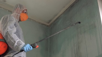Removing mold.A professional disinfector cleans and sprays the area with an antimicrobial treatment...
