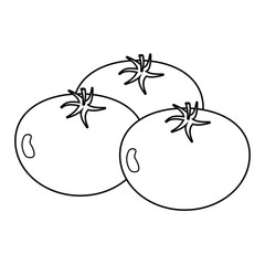 Multiple tomatoes vector illustration in black and white.
