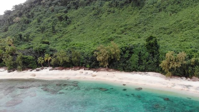 aerial view of a tropical island with clear water palm trees and coral reef in Vanuatu, South pacific