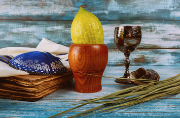 Sukkot Jewish festival of traditional religious symbol Etrog, lulav, hadas, arava kippah tallit...