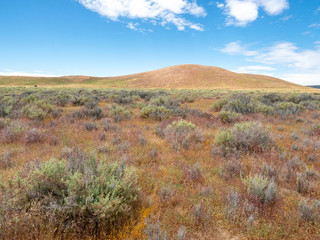 Carizzo Plain National Monument on sunny spring day, Kern County, California, Central Valley