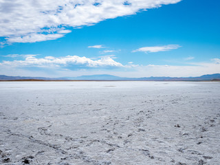 Salt flat at Soda Lake, Carizzo Plain National Monument on sunny spring day, Kern County, California, Central Valley