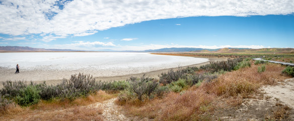 Couple walking on salt flat at Soda Lake, Carizzo Plain National Monument on sunny spring day, Kern County, California, Central Valley