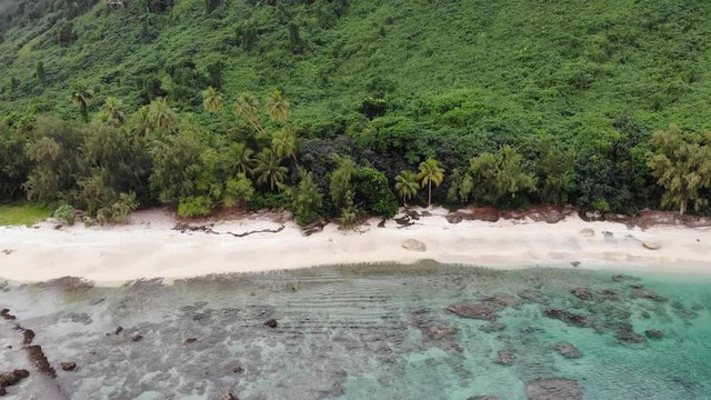 aerial view of a tropical island with clear water palm trees and coral reef in Vanuatu, South pacific
