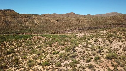 Aerial footage over Saguaro Cactus field in Sonora desert, Arizona Drone view fly slowly over Saguaro Cactus in Sonora desert, Arizona, Usa