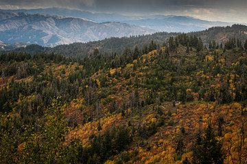 Fall mountain landscape from above. Beautiful colors: yellow, orange, red, and green.