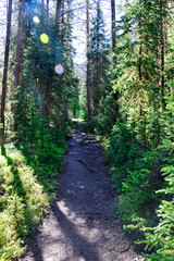 Rocky Mountain National Park