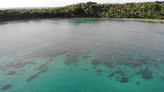aerial view of a tropical island in Vanuatu with clear water palm trees and coral reef in Vanuatu, South pacific