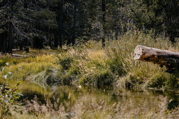 National Parks river side scenery 