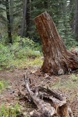 National Parks river side scenery 