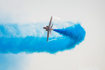 Plane leaves watercolor like blue