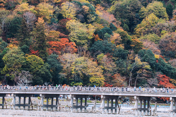 Obraz premium Beautiful Togetsukyo bridge in Arashiyama Kyoto Japan in autumn season .