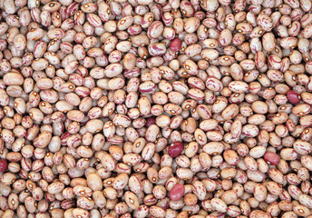 background of many beans