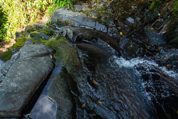 Ton Aow Yon Waterfall rich natural resources,in the forest,asia tropical areaat Island Phuket Thailand.
