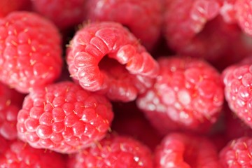 scarlet fresh raspberry fruit background