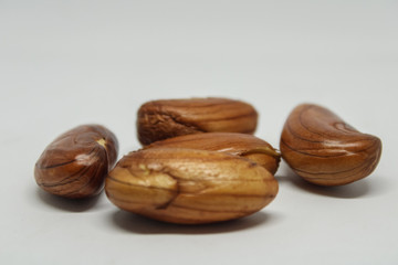 the seed of jack fruit 