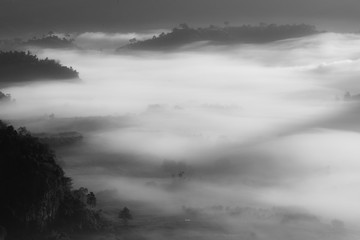Mystic mist valley in Thailand
