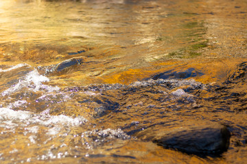 water in the river
