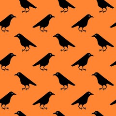 Seamless pattern of cute raven crow vector on orange background. Funny illustration