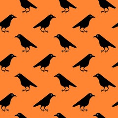 Seamless pattern of cute raven crow vector on orange background. Funny illustration