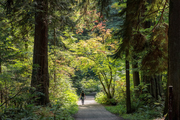 Stanley Park, Vancouver