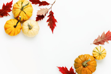 Autumn holidays background with copy space for a greeting text