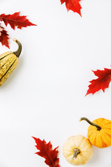 Autumn holidays background with copy space for a greeting text