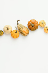 Minimalist fall background with various pumpkins set in a row