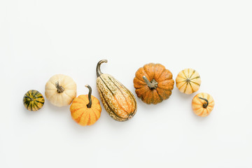 Minimalist fall background with various pumpkins set in a row