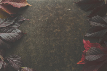 Fototapeta premium Dark autumn background with burgundy leaves. Frame of autumn leaves.
