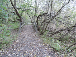 automne dans la région de Québec