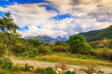 Country road high in the mountains. Tall trees, snowy mountains and white clouds on a blue sky. Kyrgyzstan Beautiful landscape.