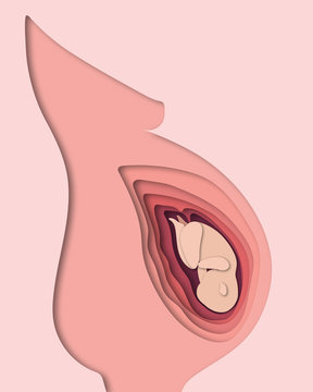 Mother's day paper cut out illustration of pregnant woman silhouette. vector. Poster template